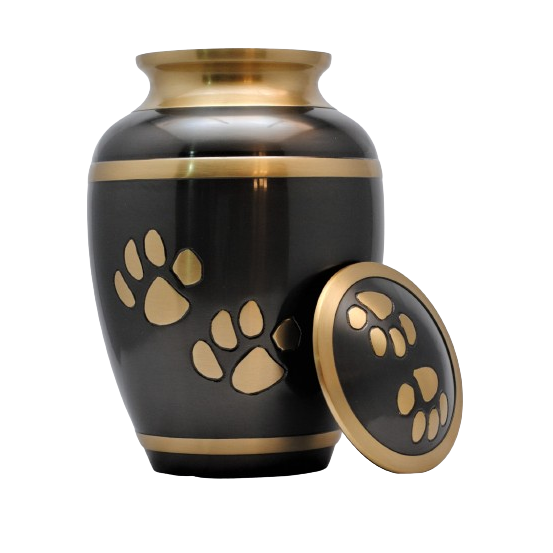 CUBE2019 - Brass Golden Paws - Dark Gray